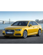 B9 (10.2015 - 10.2019)