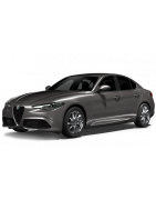 2016 - ... Normales Dach ohne Vorbereitung